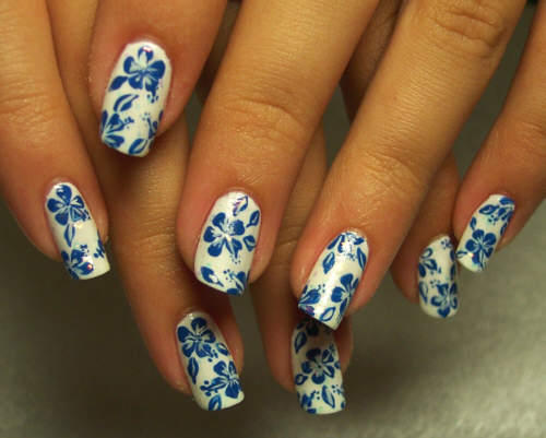 unha decorada azul e branco flor fotos