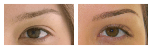 micropigmentação sobrancelhas 16